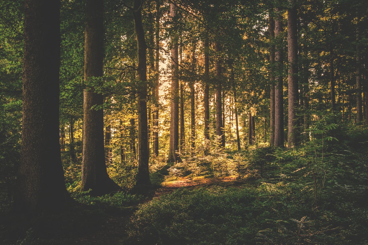bijzonder overnachten Veluwe
